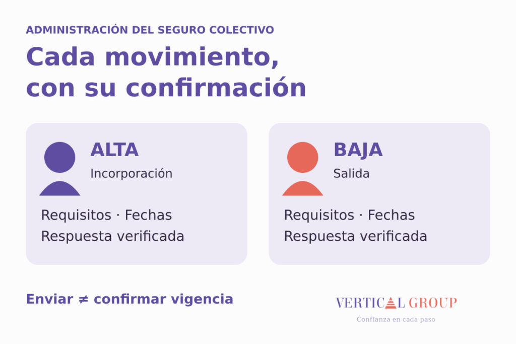 Dos tarjetas de alta y baja recuerdan verificar requisitos, fechas y respuesta antes de confirmar vigencia.